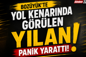 Başlıksız-1