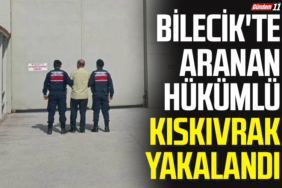 Bilecik'te Aranan Hükümlü Kıskıvrak Yakalandı