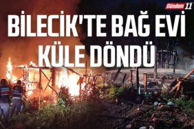 Bilecik'te Bağ evi küle döndü