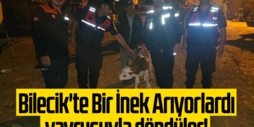 Bilecik'te Bir İnek Arıyorlardı, yavrusuyla döndüler!