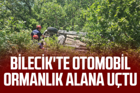Bilecik'te Otomobil Ormanlık Alana Uçtu