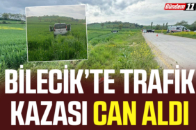 Bilecik’te Trafik Kazası Can Aldı