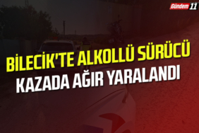 Bilecik'te alkollü sürücü kazada ağır yaralandı