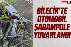 Bilecik'te araç şarampole yuvarlandı