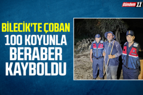 Bilecik'te çoban 100 koyunla beraber kayboldu