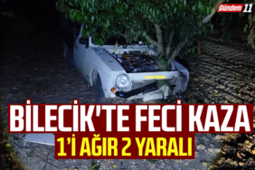 Bilecik'te feci kaza
