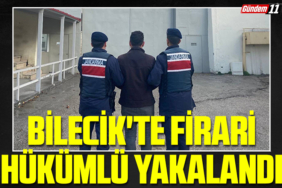 Bilecik'te firari hükümlü yakalandı