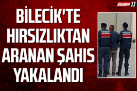 Bilecik'te hırsızlıktan aranan şahıs yakalandı