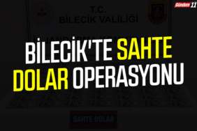 Bilecik'te sahte dolar operasyonu
