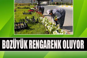 Bozüyük Rengarenk Oluyor-122812