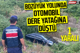 Bozüyük yolunda Otomobil Dere Yatağına düştü