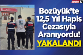 Bozüyük'te 12,5 Yıl Hapis Cezasıyla Aranıyordu!