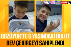 Bozüyük’te 6 Yaşındaki Bulut, Dev Çekirgeyi Sahiplendi
