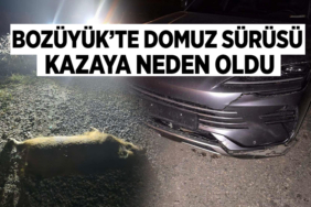 Bozüyük’te Domuz Sürüsü Kazaya Neden Oldu