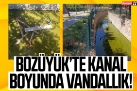 Bozüyük’te Kanal Boyunda Vandallık!