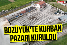 Bozüyük'te Kurbanlık Satışları İçin Yer Başvuruları Başladı