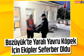 Bozüyük’te Yaralı Yavru Köpek İçin Ekipler Seferber Oldu