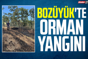 Bozüyük'te orman yangını