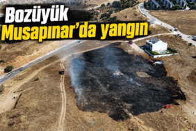 Bozüyük Musapınar'da yangın