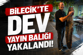 Bilecik’te Dev Yayın Balığı Yakalandı!