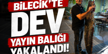 Bilecik’te Dev Yayın Balığı Yakalandı!