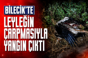 Bilecik'te Leyleğin Çarpmasıyla Yangın Çıktı