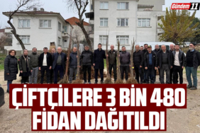 Çiftçilere 3 bin 480 Fidan Dağıtıldı