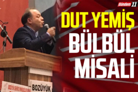 DUT YEMİŞ BÜLBÜL MİSALİ