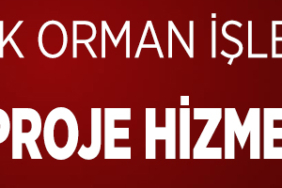 DÜZELTME