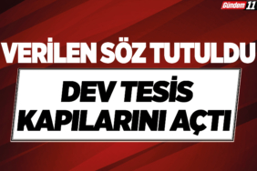 Dev Tesis