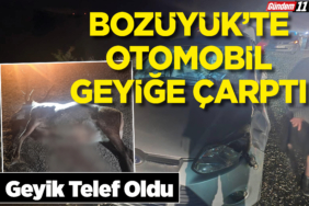 Geyik Telef Oldu