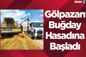 Gölpazarı Belediyesi Buğday Hasadına Başladı