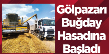 Gölpazarı Belediyesi Buğday Hasadına Başladı