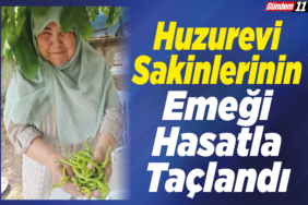 Huzurevi Sakinlerinin Emeği Hasatla Taçlandı