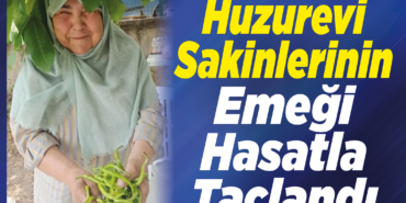 Huzurevi Sakinlerinin Emeği Hasatla Taçlandı