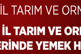 İLAAN