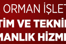 İLAN (2)