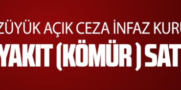 KATI YAKIT (KÖMÜR ) SATIN ALINACAKTIR