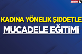 Kadına Yönelik Şiddetle Mücadele Eğitimi