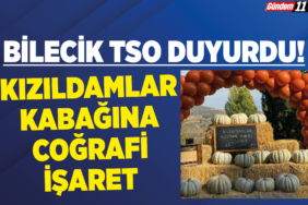 Kızıldamlar Kabağına Coğrafi İşaret