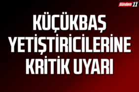 Küçükbaş Yetiştiricilerine Kritik Uyarı