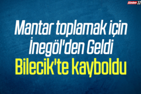 Mantar toplamak için İnegöl'den Geldi Bilecik'te kayboldu
