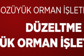 OGM İLAN