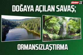 ORMANSIZLAŞTIRMA