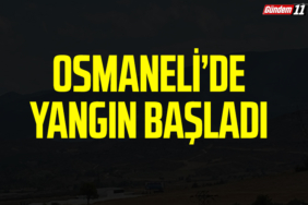 OSMANELİ’DE YANGIN BAŞLADI