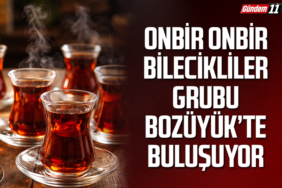 Onbir Onbir Bilecikliler Grubu Bozüyük’te Buluşuyor