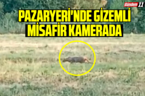 Pazaryeri'nde Gizemli Misafir Kamerada