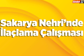 Sakarya Nehri'nde İlaçlama Çalışması