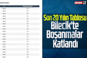 Son 20 Yılın Tablos Bilecik'te Boşanmalar Katlandı