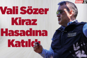Vali Sözer Kiraz Hasadına Katıldı